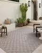 Topanga TOP-03 Natural/Dove Area Rug