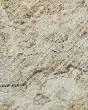 Tuscany TU9 Gold Area Rug