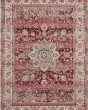 Vintage Kashan VKA01 Red Area Rug
