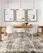 Viera VR-03 Ash Area Rug
