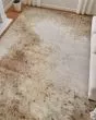 Waldor 39NCF Brown/Tan/Ivory Rug
