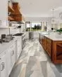 Wanderers Loop SolidTech Select Basset Luxury Vinyl