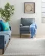 Whimsicle WHS02 Grey Area Rug