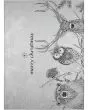 Wonderland WN10 Flannel Area Rug