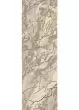 Anastasia 68008 Beige/Ivory Area Rug