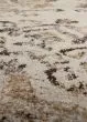 Antigua AN11 Chocolate Area Rug