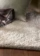 Bliss 1550 Ivory Shag Area Rug