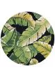 Covington Rainforest Forest Green/Black Rug