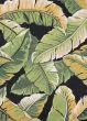Covington Rainforest Forest Green/Black Rug