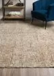 Calisa CS5 Coffee Area Rug