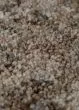 Calisa CS5 Coffee Area Rug