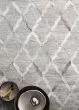 Dorado DB-04 Grey/Grey Area Rug