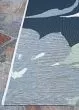 Dolce Novella Grey Area Rug