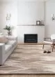 Evelina EVE-04 Taupe/Bark Area Rug