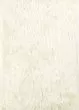 Impact IA100 Ivory Area Rug