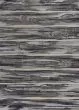 Illusions 6210 Grey Landscape Area Rug