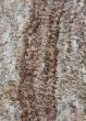 Joplin JP1 Earth Area Rug