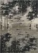 Luna 7121 Silver Charcoal Eclipse Area Rug