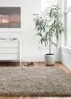 Mila Shag MIL-01 Taupe 2'3"x3'9" Area Rug