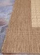 Recife Checkered Field Natural/Cocoa Area Rug