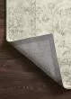 Rosette ROS-02 Ivory/Silver Area Rug