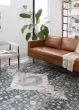 Skye SKY-02 Charcoal/Multi Area Rug
