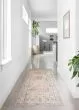 Skye SKY-04 Gold/Blush Area Rug