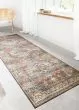 Skye SKY-07 Terracotta/Sky 2'3"x3'9" Area Rug