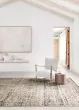 Theia THE-03 Taupe/Multi Area Rug