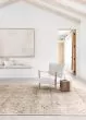 Theia THE-07 Natural/Rust Area Rug