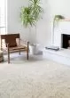 Ziva ZV-01 Neutral Area Rug