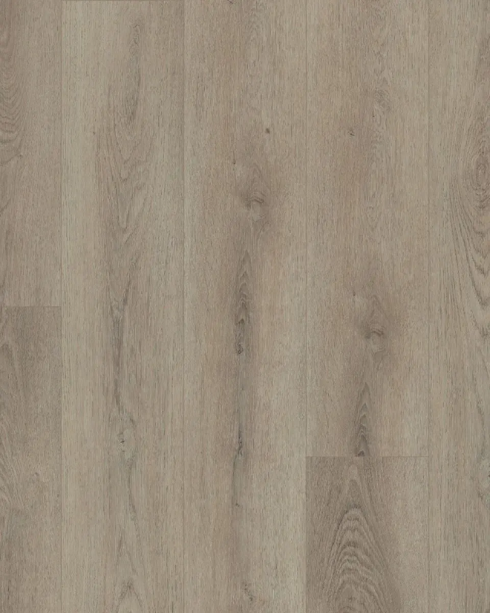 Shaw Paladin Plus Toasted Taupe - LVT | Carpet Exchange
