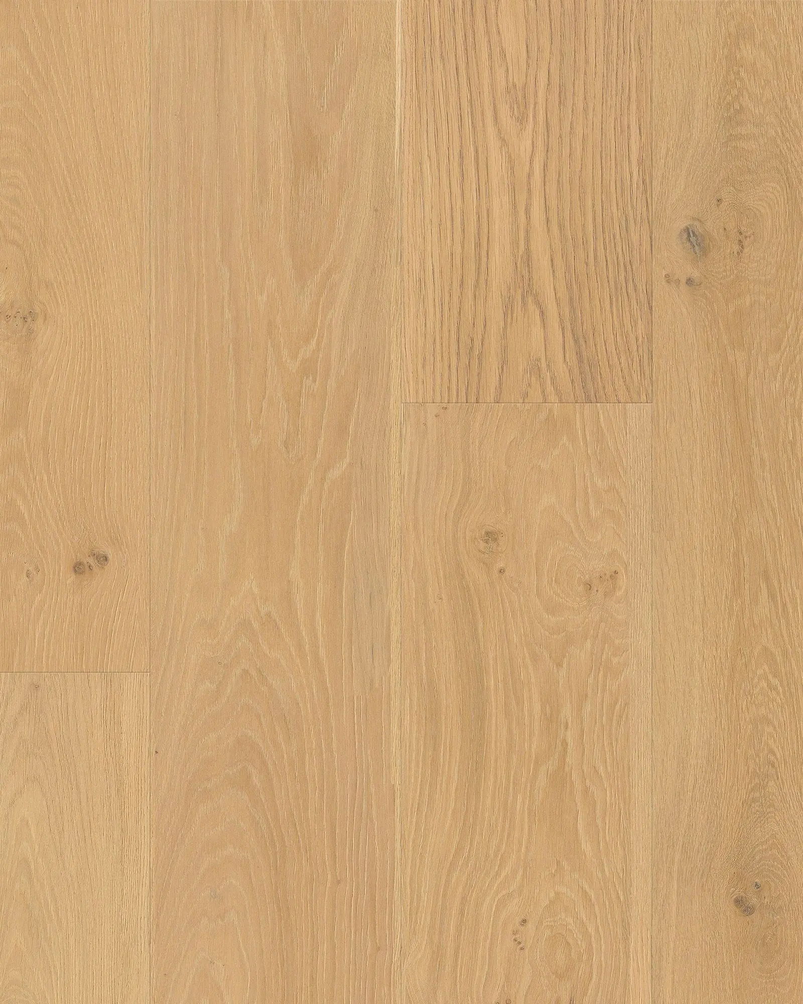 Cali Pacifica Deep Sand Sea - Laminate | Carpet Exchange