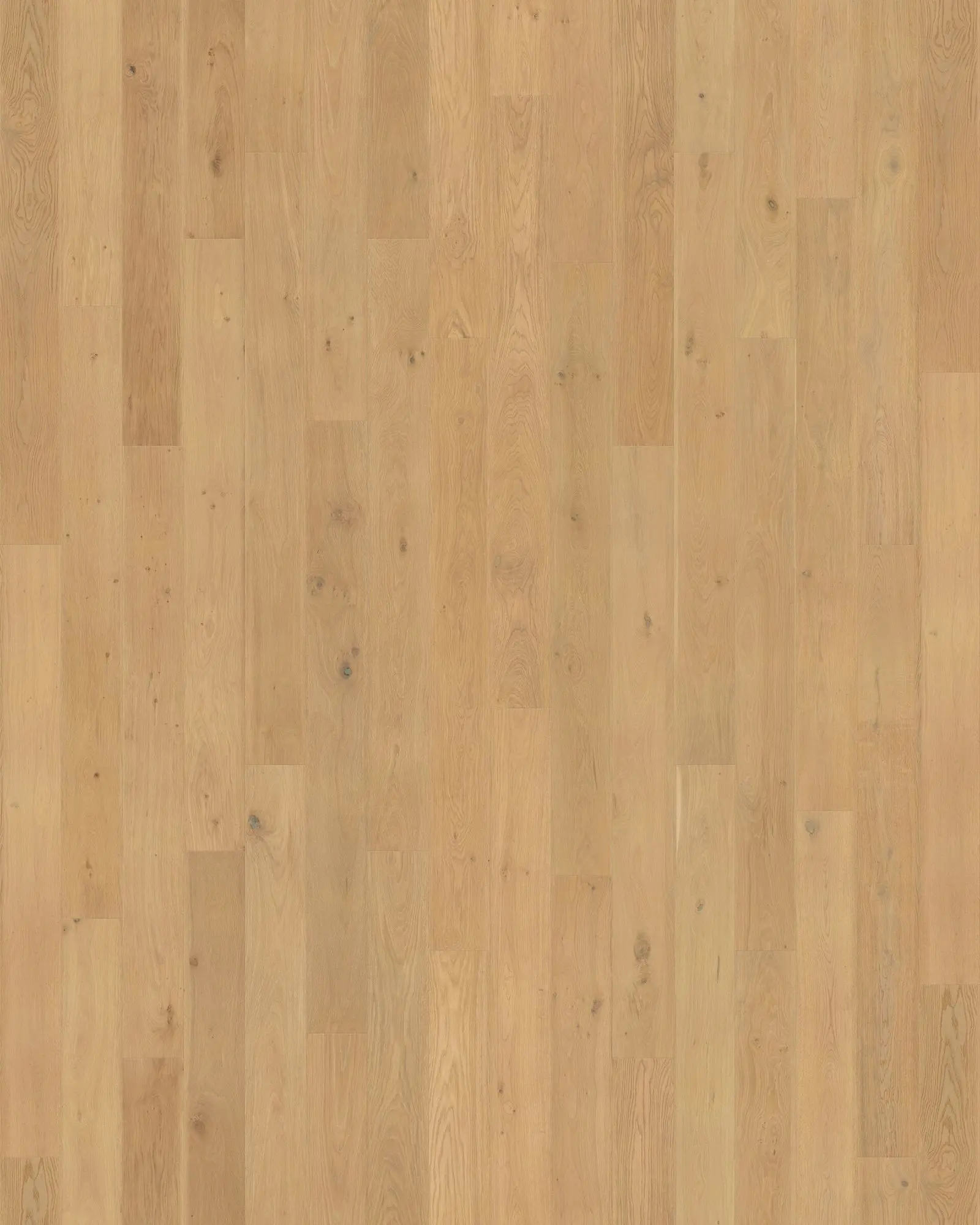 Cali Pacifica Deep Sand Sea - Laminate | Carpet Exchange