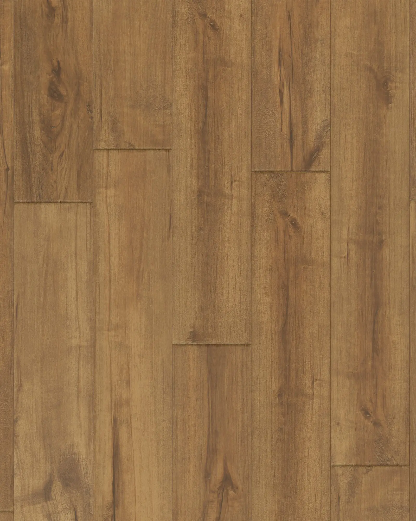Adura Rigid Plank Coventry Meadow - LVT | Carpet Exchange