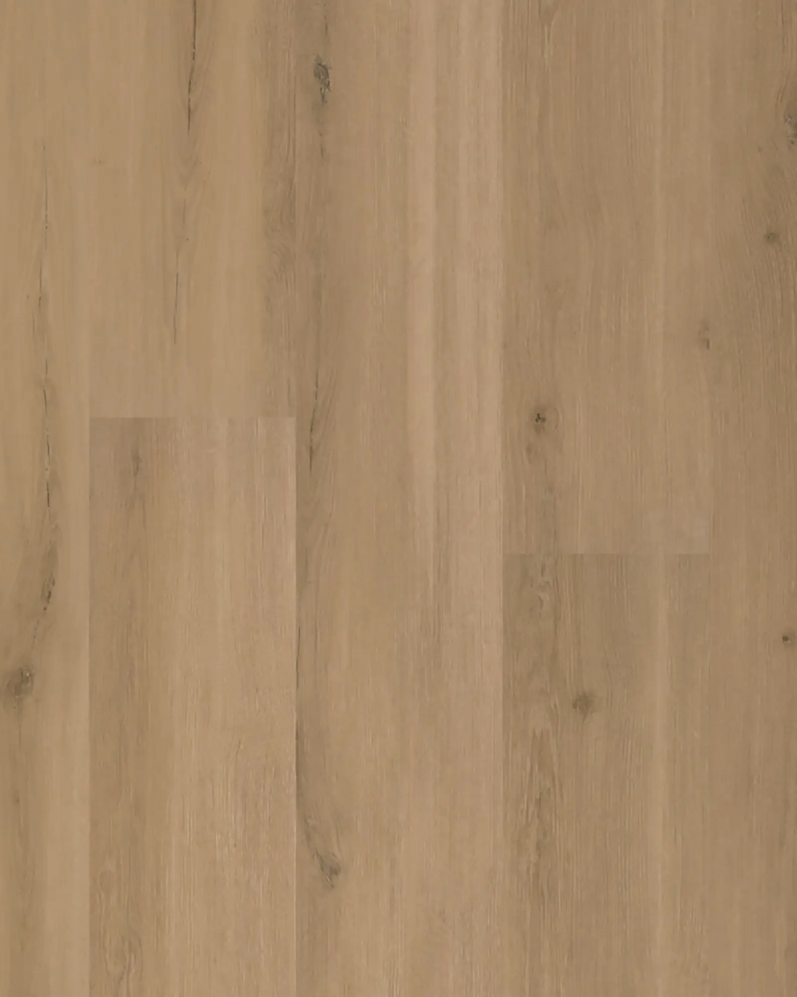 ルチアーノ　ダッチ Adura Max Plank Swiss Oak Truffle - LVT | Carpet Exchange