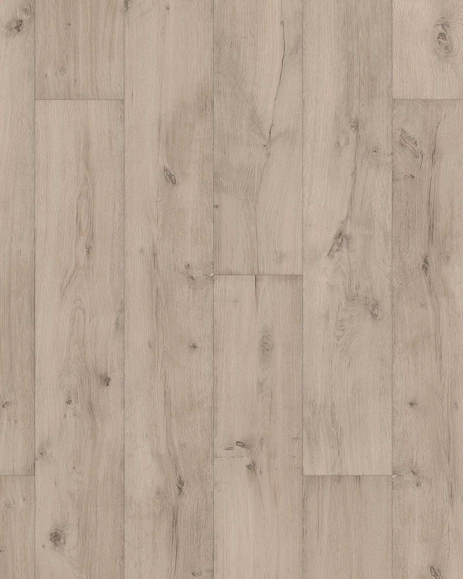Karastan Chateau Leon Silk Beige Laminate | Carpet Exchange