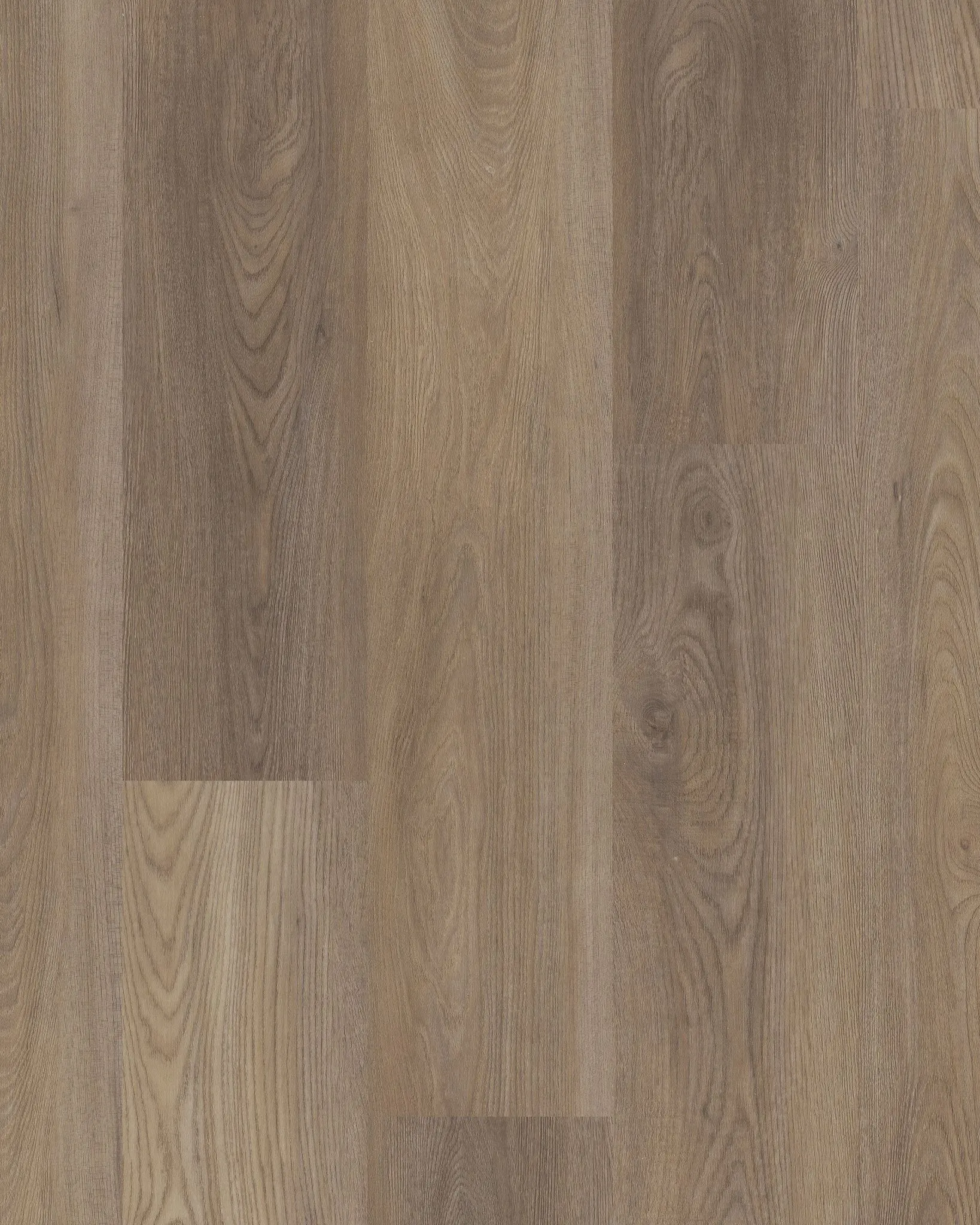 Shaw Distinction Plus Ash Oak LVT | Carpet Exchange