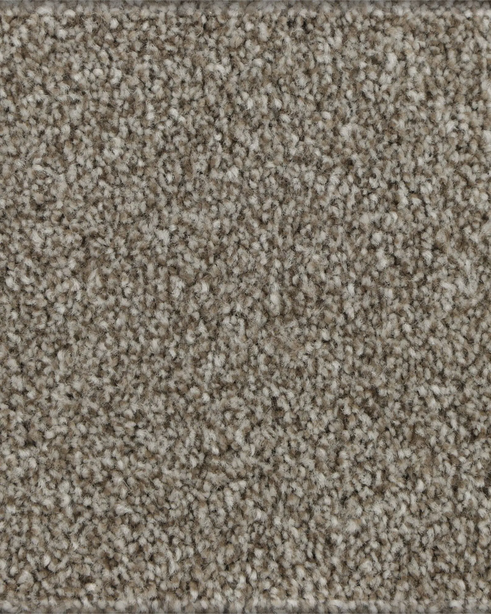 Industrial Tones Hearthstone Carpet
