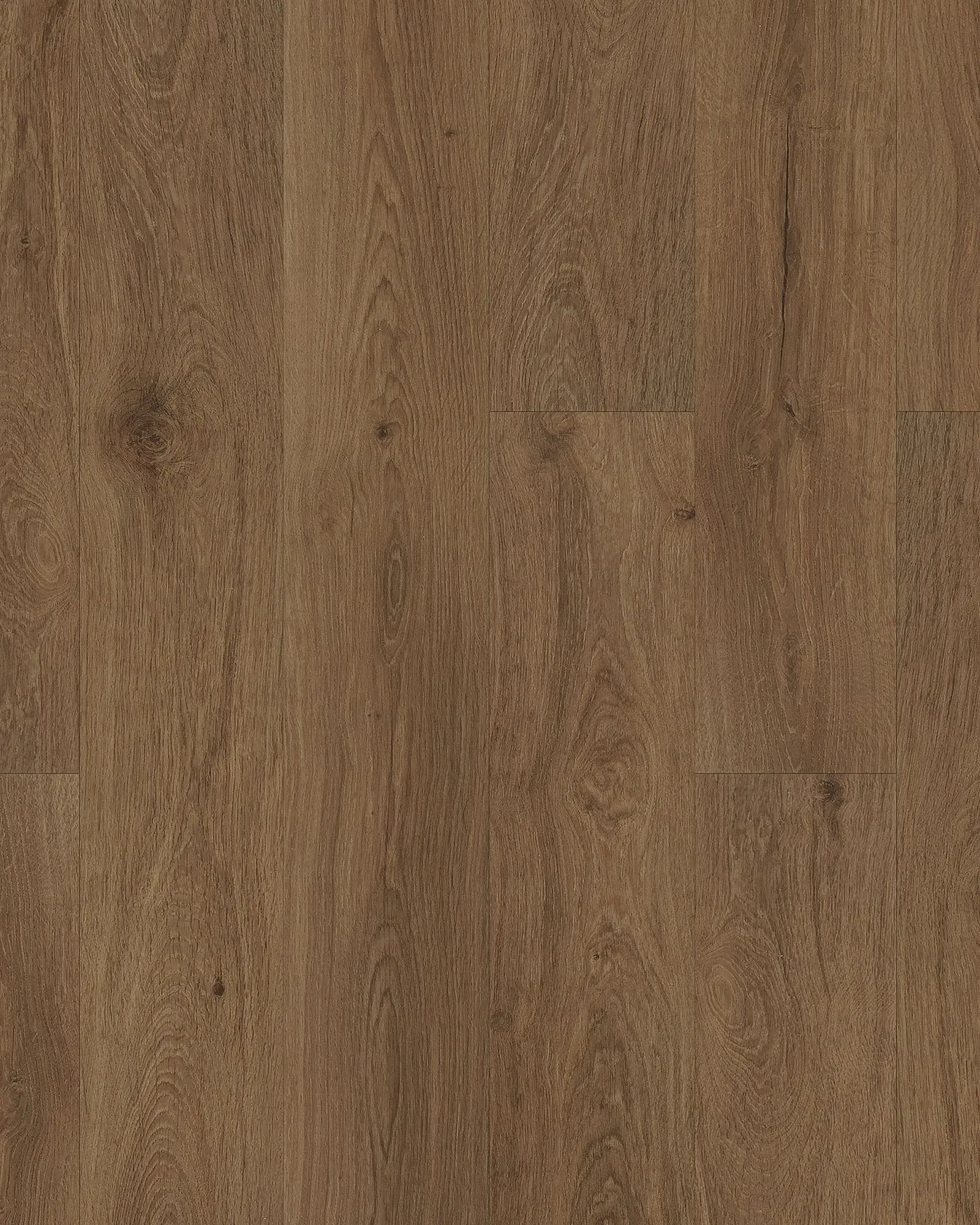 Karastan Sandalwood Grove Trinity Luxury Vinyl | Carpet Exchange