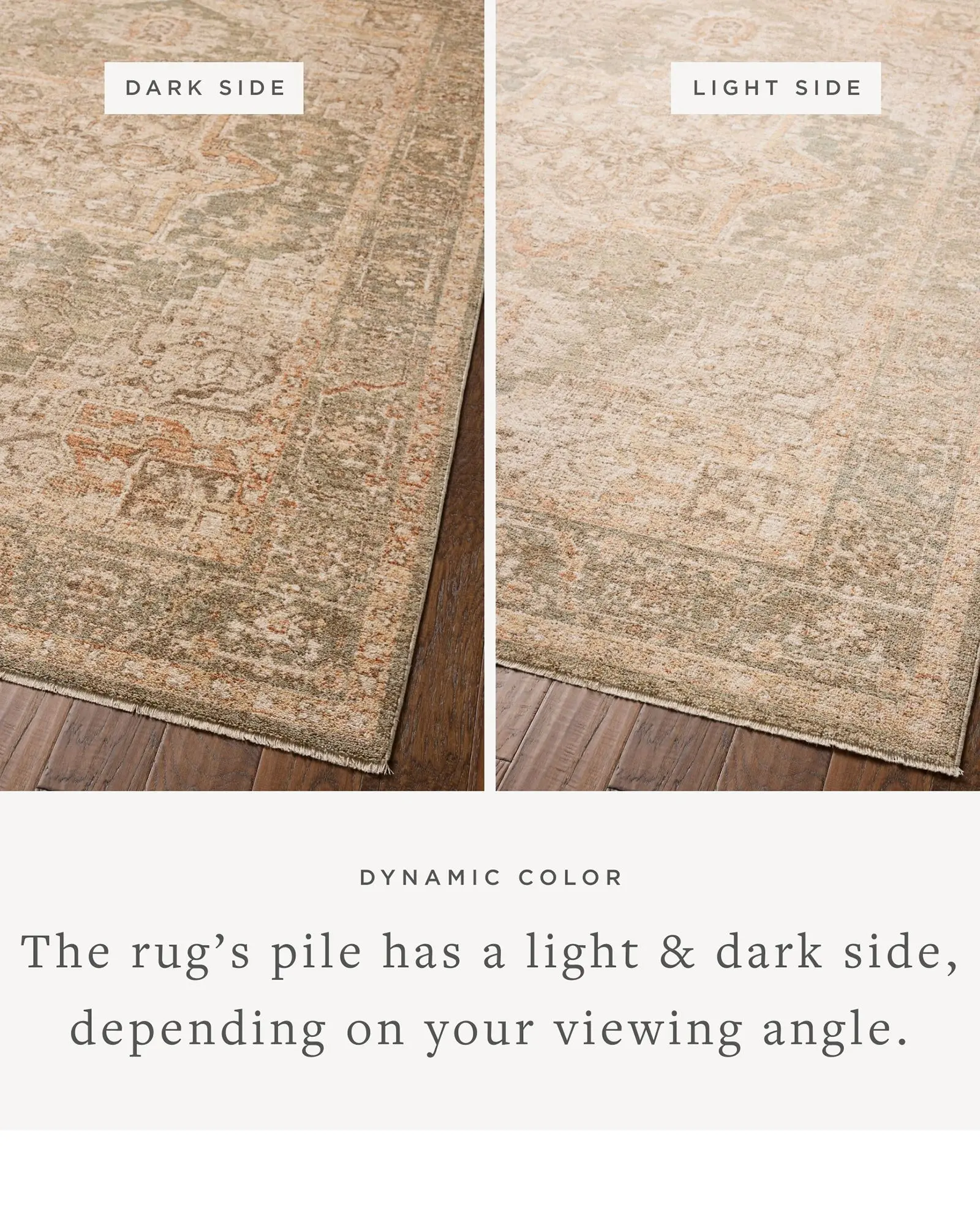 Loloi Palma PLM-08 Olive/Spice Area Rug | Carpet Exchange
