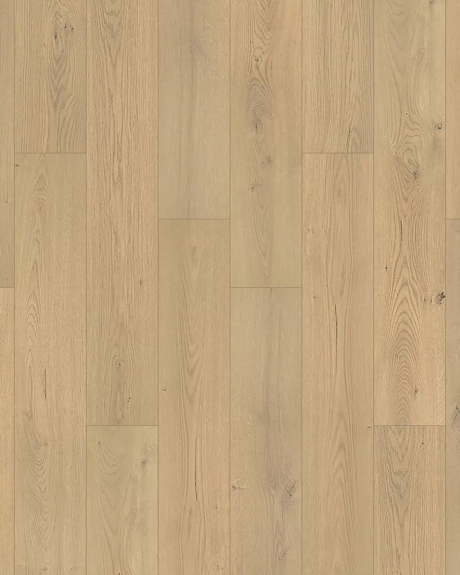 Pergo Aurora Falls Latte Oak Laminate | Carpet Exchange