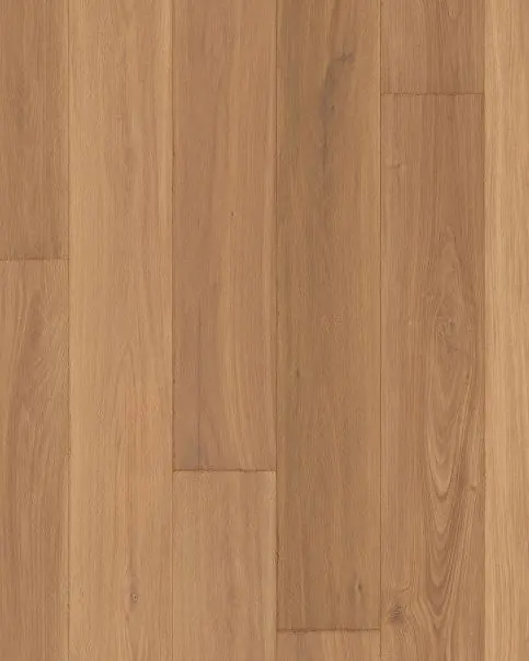 Adura Rigid Noble Oak Branch Luxury Vinyl | Carpet Exchange