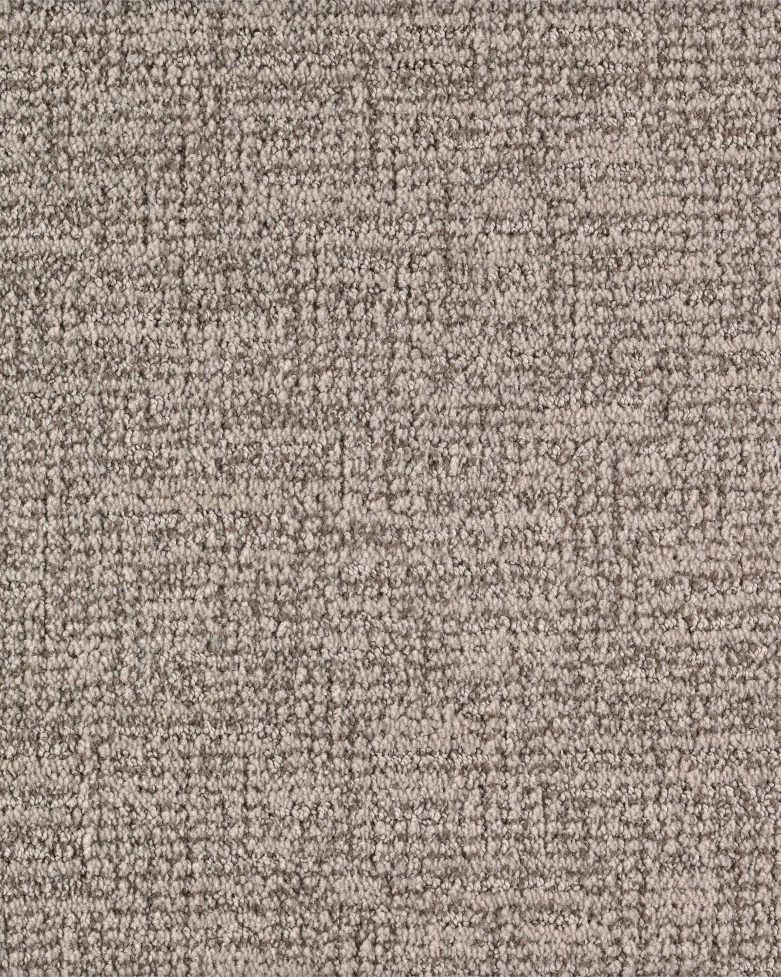 Urban Splendor Toasted Almond Carpet