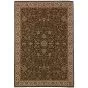 Ariana 172d Brown/Ivory Area Rug
