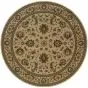 Ariana 311i Ivory/Green Area Rug