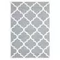 Verona 529h Grey/Ivory Area Rug