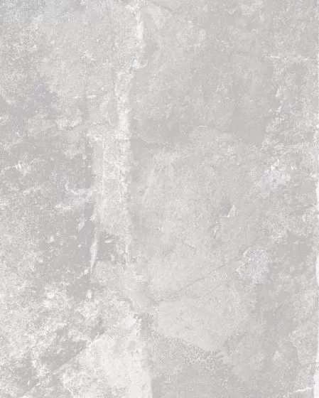 Cavanite Fawn 12x24 Matte Glazed Ceramic Tile