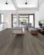 Paladin Plus Ashen Brown Luxury Vinyl