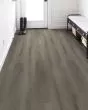 Paladin Plus Ashen Brown Luxury Vinyl
